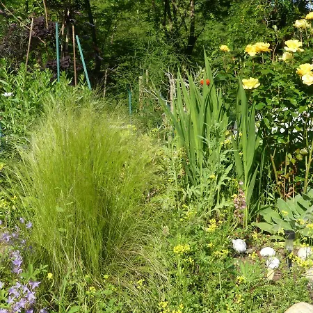 Gasthuis Le Jardin Florentin