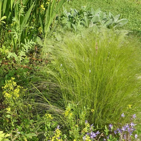 Le Jardin Florentin Gasthuis