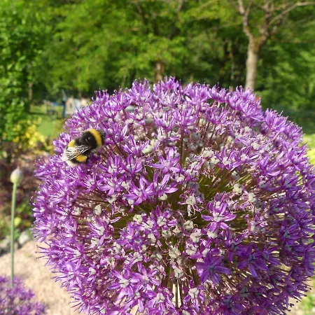 Gasthuis Le Jardin Florentin